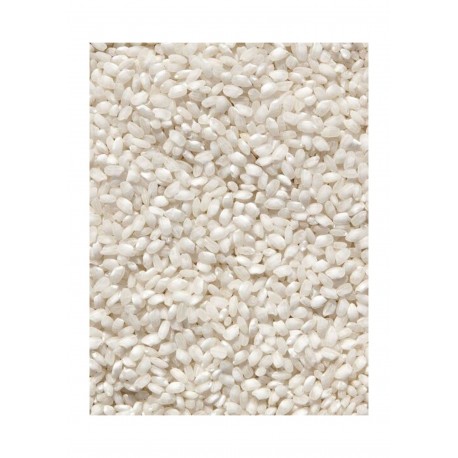 ARROZ REDONDO 2,25€ X10KG EL CANO EXTRA