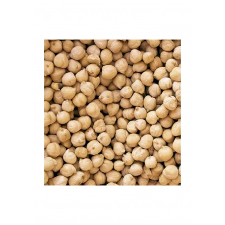 GARBANZO PEDROSILLANO 2.60€X10KG EL CANO EXTRA