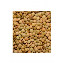LENTEJA CASTELLANA GRANDE 2.90€X10KG EL CANO EXTRA