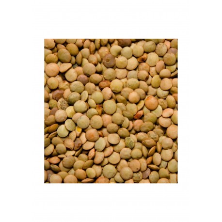 LENTEJA CASTELLANA GRANDE 2.90€X10KG EL CANO EXTRA