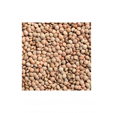 LENTEJA PARDINA 2.90€X10KG EL CANO EXTRA