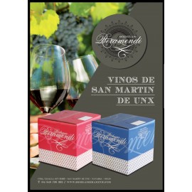 SAN MARTIN DE UNX BERAMENDI ROSADO 5LE