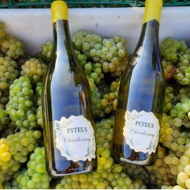 PITEUS CHARDONNAY PROMOCION 6 X 6.90€